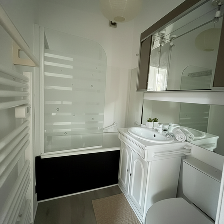 Location Appartement 2 pièces 36m² ROANNE 42300 - Photo 4