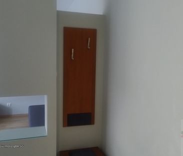 MIESZKANIE na WYNAJEM SZCZECIN (436836) - Photo 1