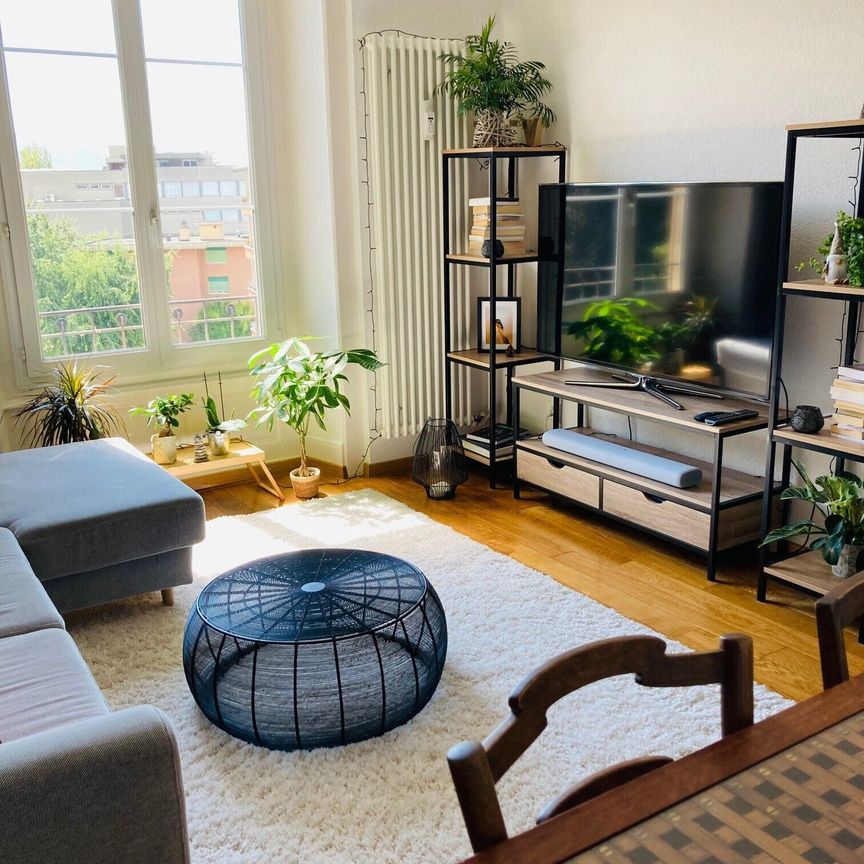 Nice 2-room apartment with character near the lake - Photo 1