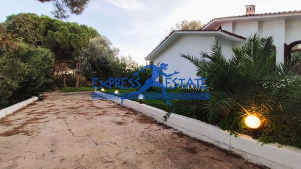 Μονοκατοικία για ενοικίαση - Μαραθώνας, - Photo 1