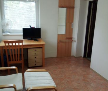 Pronájem bytu 1+1 • 25 m² bez realitkyHorova, Roztoky - Roztoky u P... - Photo 2