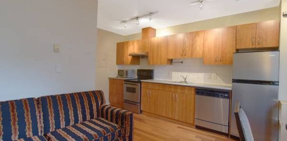 Furnished 1 Bedroom Waterfront Station 440 Richards Available Sept 1st - Photo 2