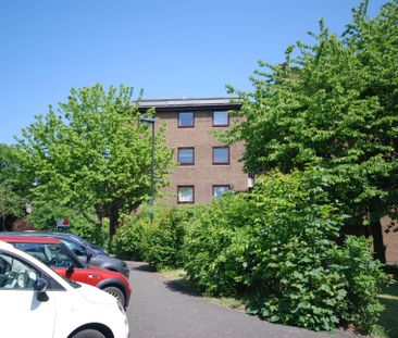 Broad Ash, Greystoke Gardens, Sandyford, NE2 - Photo 3