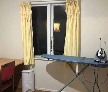 Newly Renovated 3 Bedroom - Photo 3