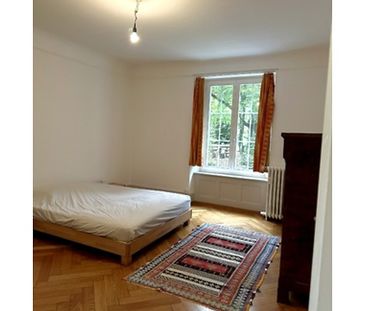 2½ Zimmer-Wohnung in Solothurn, möbliert - Photo 4