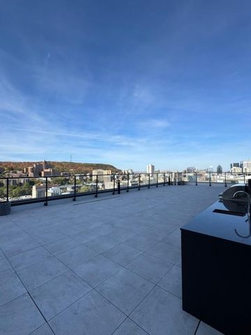 Appartement à louer - Montréal (Ville-Marie) (Centre Ouest) - Photo 4