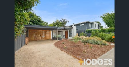 Elegant & Lifestyle-Focused - Photo 4