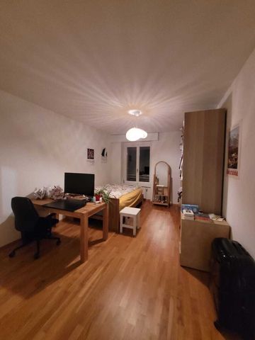 APPARTEMENT 4 PIÈCES À LUCERNE, MEUBLÉ, TEMPORAIRE - Foto 2