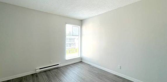 Spacious 2-Bedroom Apartment in Maple Ridge - Photo 2