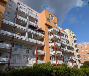 Naturnahes Wohnen in Sindelfingen: 1-Zimmer-Wohnug direkt am Waldrand - Foto 1