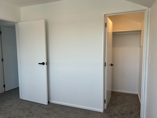 117d Edinburgh Street - Photo 1