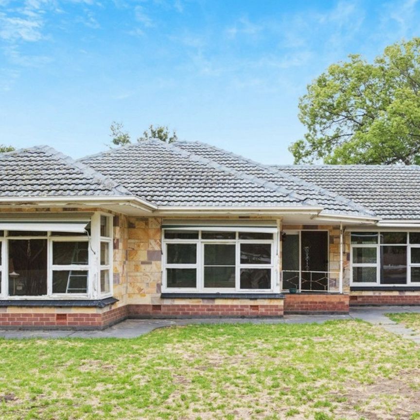 Superb Linear Park Living � Large Family Home in Prime Lockleys Location - Photo 1