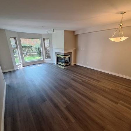 Spacious NEWLY Renovated 1 Bedroom with Private Terrace - Photo 1