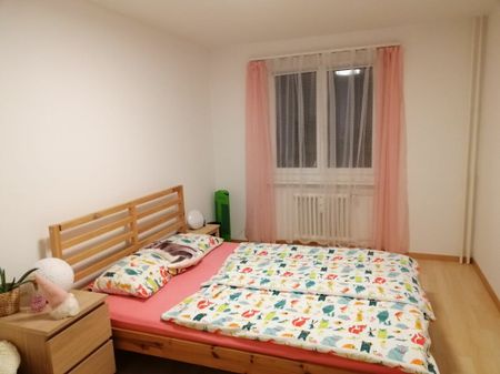 J. Schmidheinystrasse 24, 9436 Balgach - Photo 3