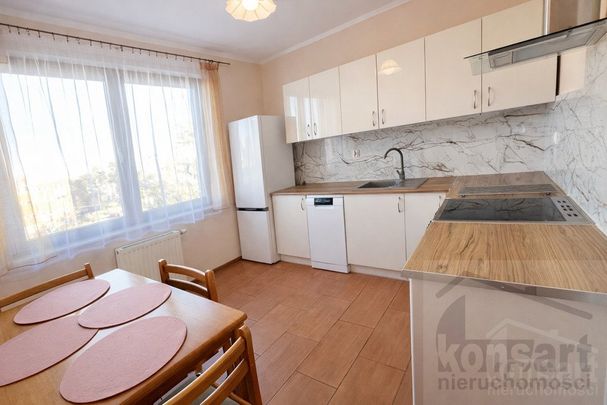 Osiedle Magnolia-2 pokoje na wynajem - Photo 1