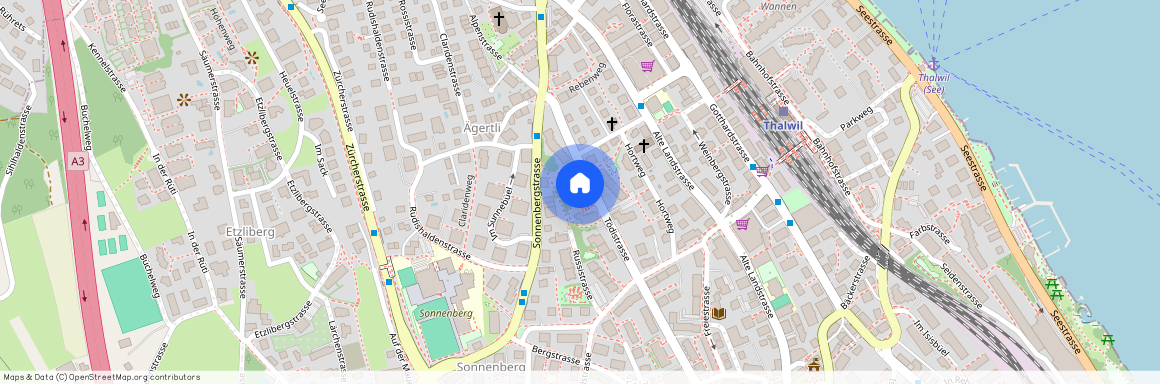 8800, Thalwil, Tödistrasse, 111