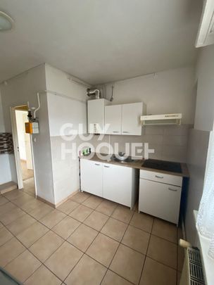 À louer : Charmant appartement 2 pièces à Mulhouse ! - Photo 1