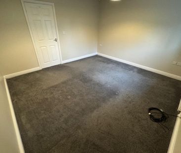 Mouse Lane - Photo 2