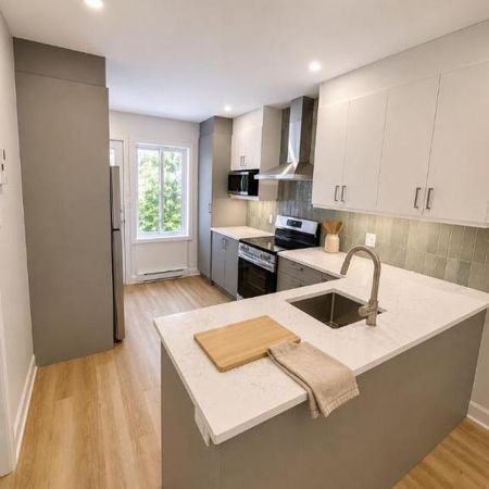 4 1/2 - Montréal (Le Plateau Mont-Royal) - 2 150 $/mois - Photo 4