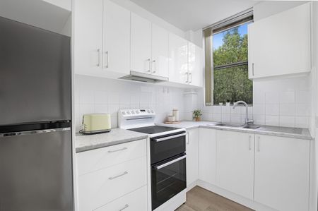 3/20 Hazelbank Road, Wollstonecraft NSW 2065 - Apartment For Rent | Domain - Photo 4