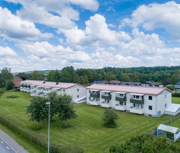 Vimbroplan 15 - Photo 2