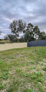 Modern, Near New Unit – Ross Hill - Photo 4