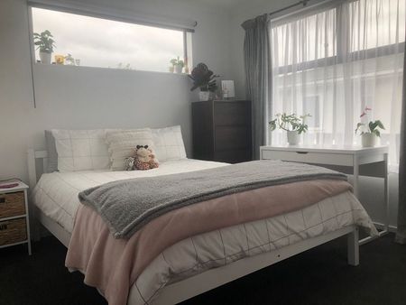 New Build 3BR Home with Deck in Awapuni - Photo 5