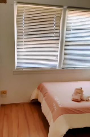 39 Harbourne Rd, Sydney - Photo 3