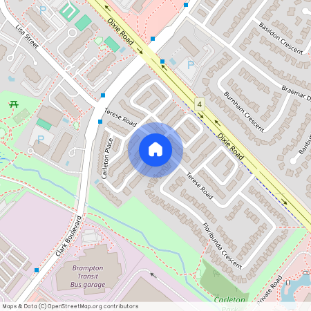 96 Carleton Place, Brampton