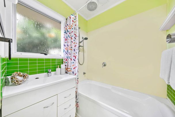 Dog/Pet Friendly Unit - Photo 1