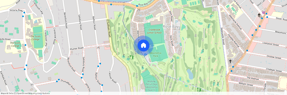 24 Manion Avenue, Sydney, New South Wales 2029