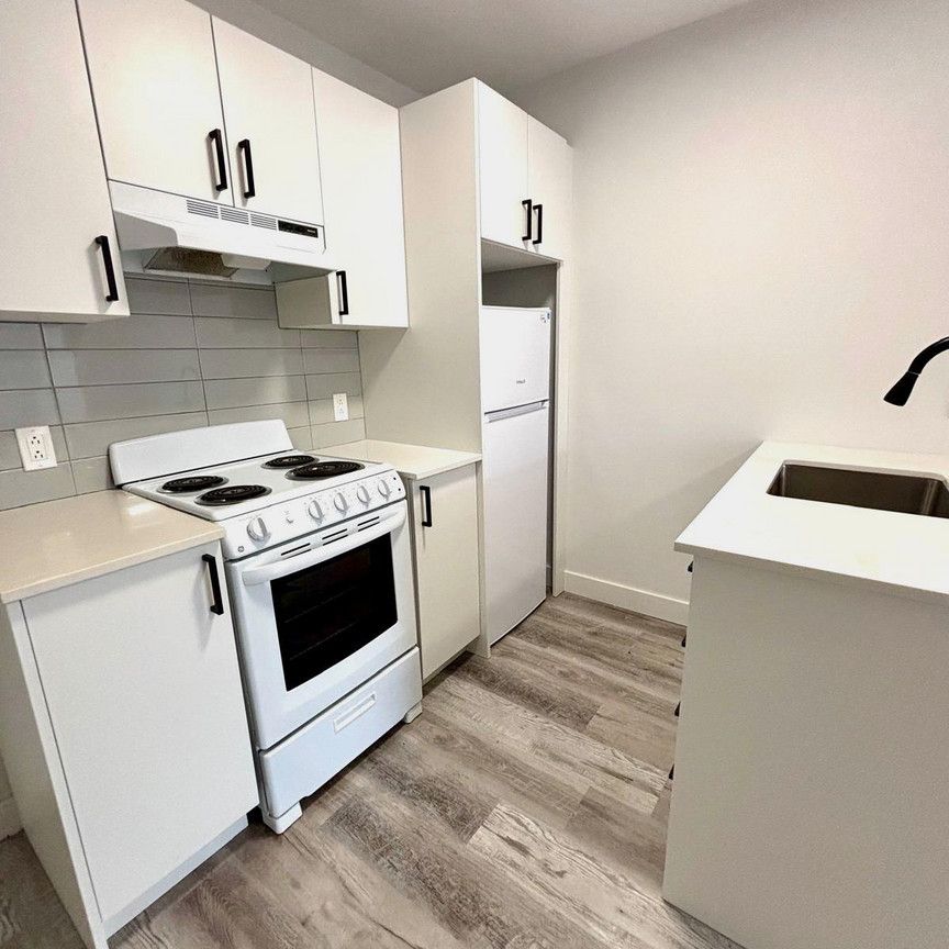 1 Chambre 1 Salle De Bain - 5576 Rue Saint-Denis, Montréal - Photo 1