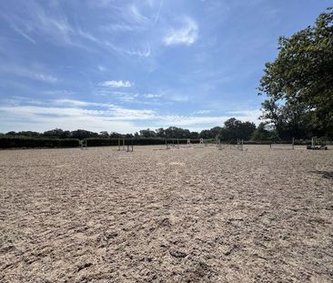 2 bedroom equestrian property to rent - Photo 5