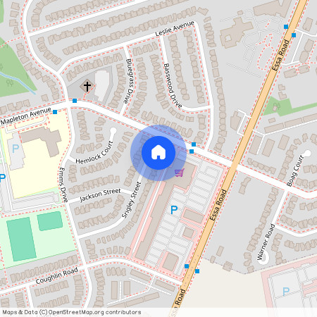 13 Srigley Street Unit# Entire House, Barrie