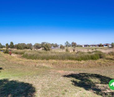 32 Rochelle Street, Moncrieff ACT 2914 - Townhouse For Rent | Domain - Photo 2