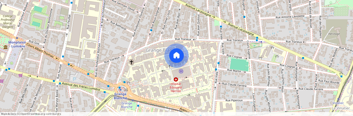 11 Rue Professeur Florence, 69003, Lyon