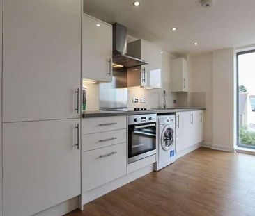 Cathays Terrace, Cathays, CF24 - Photo 5