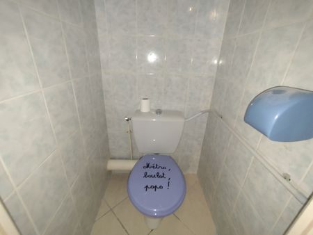 Location Appartement 3 pièces 55m² CHAVANAY 42410 - Photo 4