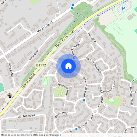 Holly Blue Road, Wymondham, NR18