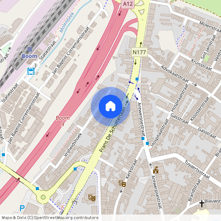 Frans de Schutterlaan 41/1, Boom