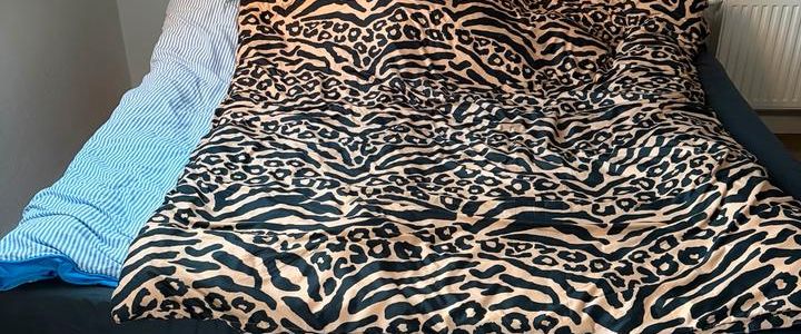 Nachmieter gesucht 2 Zimmer Wohnung Köln Brück - Foto 1