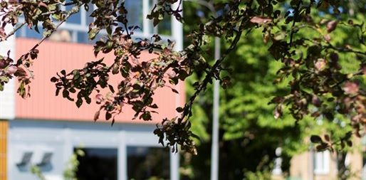 Tvärgatan 5 - Foto 2