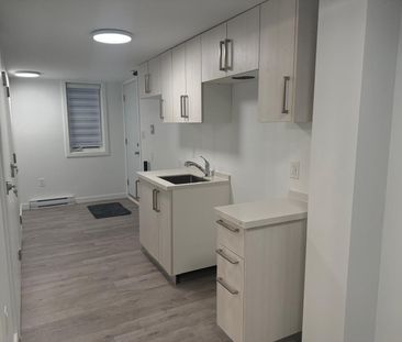 For Lease - 133 Highriver Trail Unit# Lower, Welland, Ontario - Photo 4