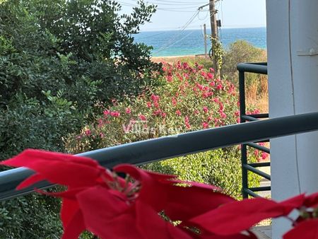 Apartamento T1 em Faro - Photo 4