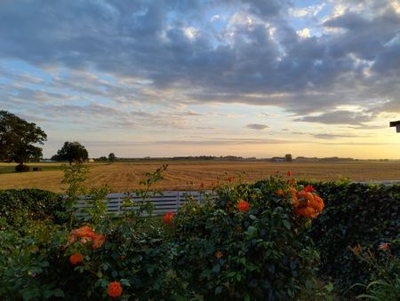 Glemmingevägen, Glemmingebro - Foto 4