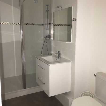 Location Appartement 1 pièce 25m² RENNES 35000 - Photo 3