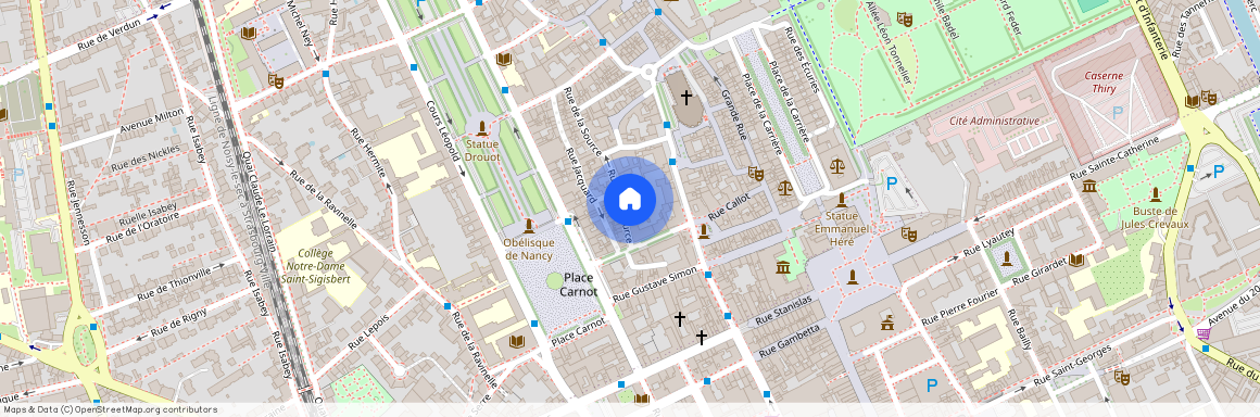 4 RUE DE LA SOURCE, Cours Leopold, Nancy