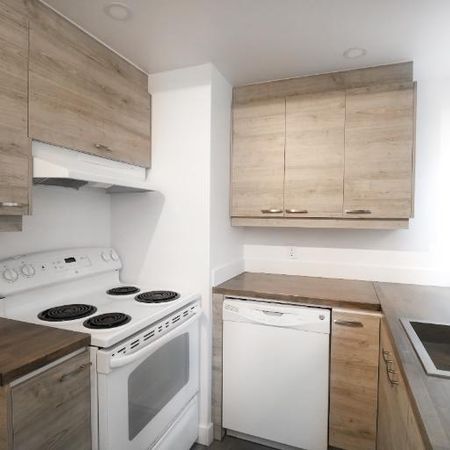 Appartement 3 ½ à louer Montcalm / Saint-Sacrement juillet 2026 - Photo 3