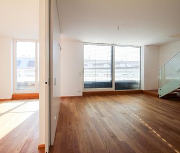 Roof terrace rentals, near Beatrixg./Reisnerstr. - Photo 3