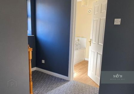 29 Carnreagh, Portadown Craigavon, BT64 3AL - Photo 5